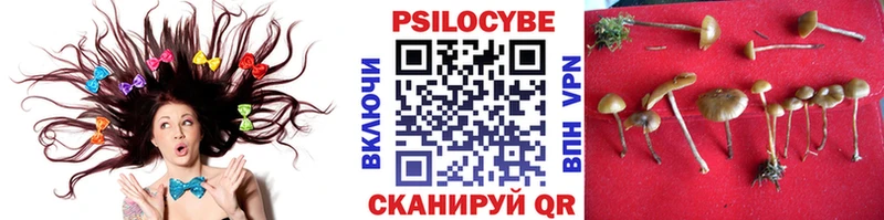 Псилоцибиновые грибы Cubensis  Купить  Нижняя Тура 